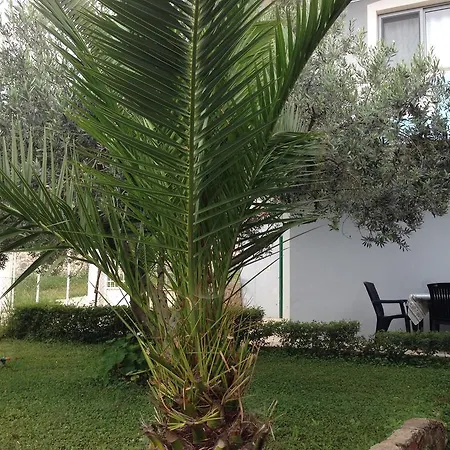 Lejlighed Caca -5 Min Walk To The Beach, Free Parking & Balcony In